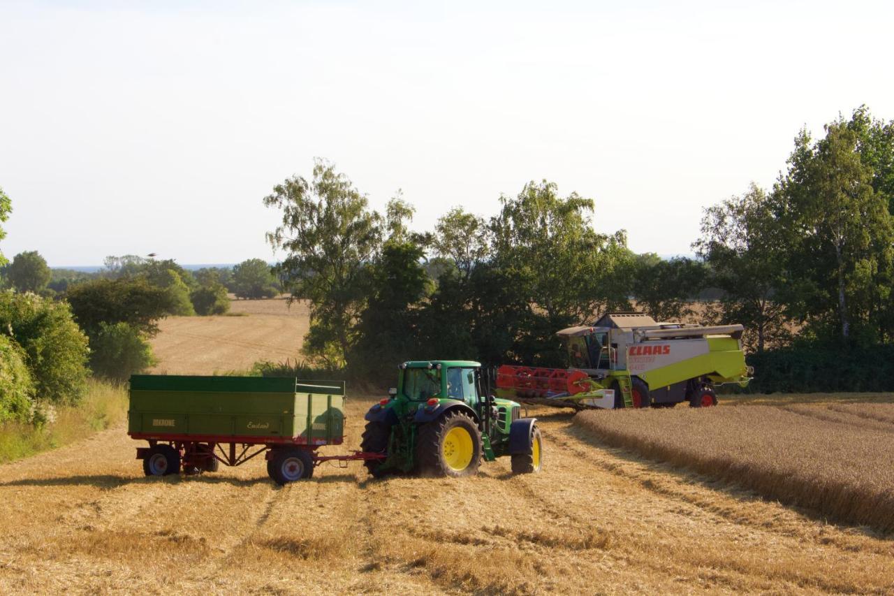 Backhaus Meeresblick Meeschendorf Dış mekan fotoğraf